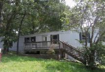 60 Silverlake Ln, Reeds Spring, MO 65737 