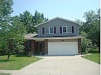 Sunflower, Warrensburg, MO 64093 