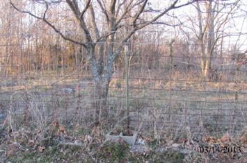 2569 W Morgan Hgts Rd, Carthage, MO 64836 