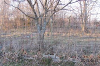 2569 W Morgan Hgts Rd, Carthage, MO 64836 