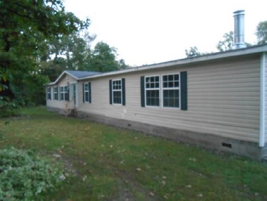 387 Busby Ln, Pineville, MO 64856 
