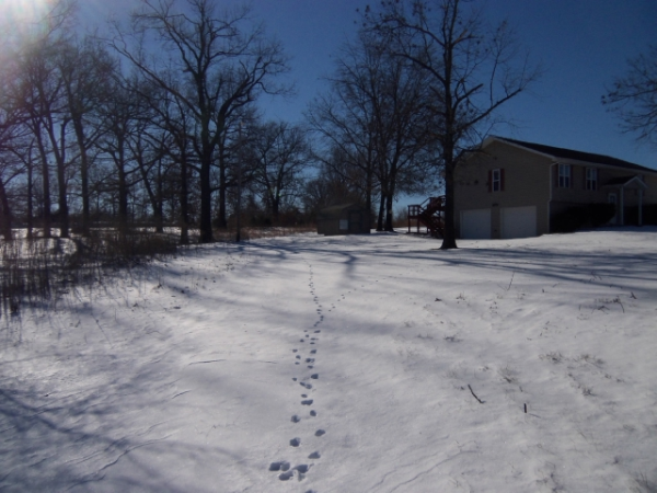 16115 Fuji Lane, Neosho, MO 64850 