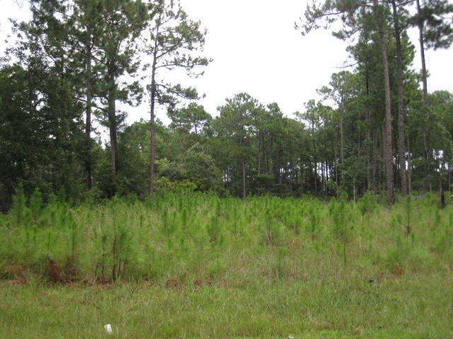 5 Martin Bluff Road, Gautier, MS 39553 