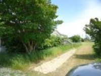 713 WILD WILLOW RD, Greenville, MS 38701 