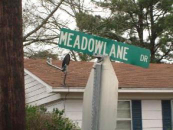 208 Meadowlane Dr, Aberdeen, MS 39730 