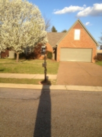 9006 Travis Dr, Olive Branch, MS 38654 