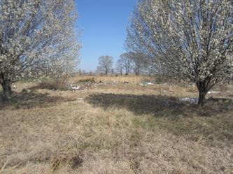 105 Countryside Dr, Byhalia, MS 38611 