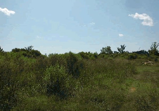 Mount Helm Rd, Brandon, MS 39047 