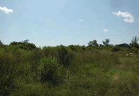 Mount Helm Rd, Brandon, MS 39047 