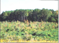 Hwy 84, Prentiss, MS 39474 