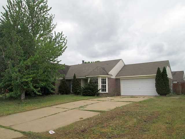 Benji, Horn Lake, MS 38637 