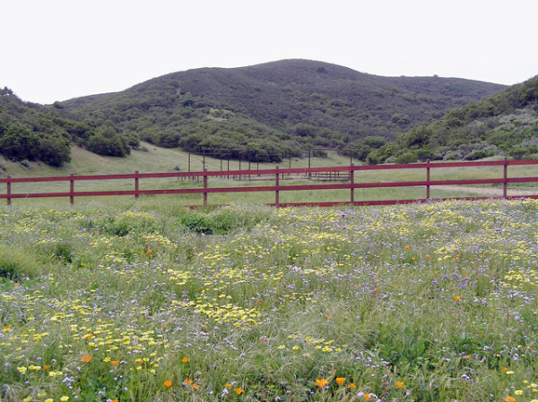 59038 Paris Valley Road, King City, CA 59038 