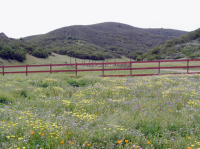 59038 Paris Valley Road, King City, CA 59038 