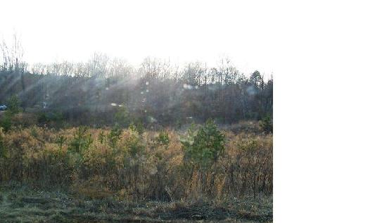 1412 Ashley Creek Court, Mount Holly, NC 28120 