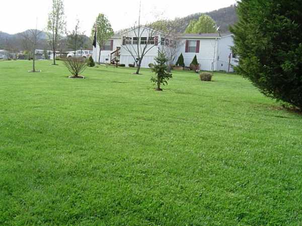 3 Lifting Fog Dr., Leicester, NC 28748 