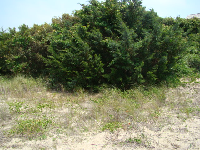 12 CAPE FEAR TRAIL, BALD HEAD ISLAND, NC 28461 