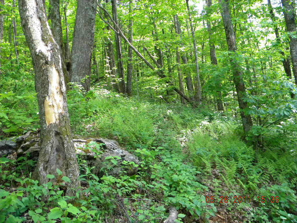 LOT 73 CROWN PT, WEST JEFFERSON, NC 28694 