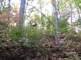 LOT 18 SECTION I, CALABASH, NC 28139 