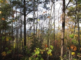 1518 BROADWAY DRIVE, GRAHAM, NC 28139 