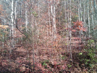 51  CABIN CREEK TRL, MARS HILL, NC 28754 