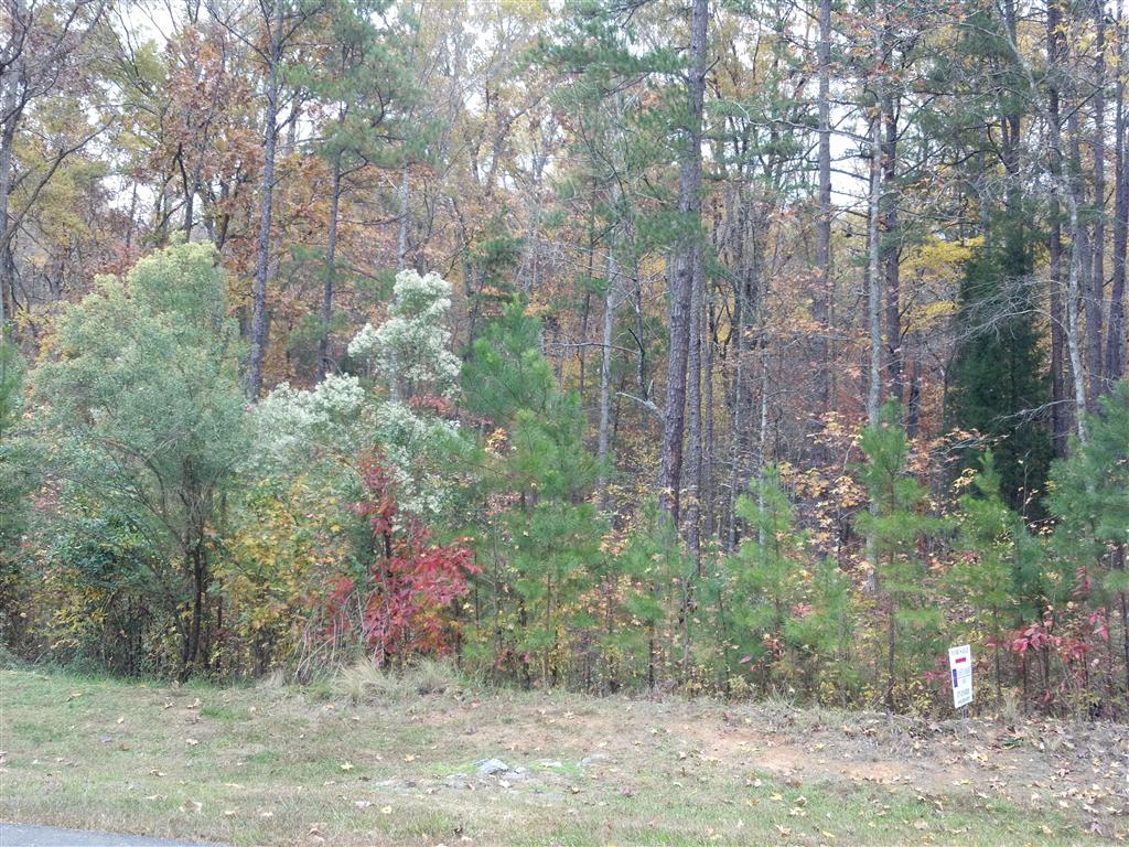 LOT 24 YACHTSMANS PO, DENTON, NC 27239 