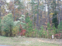 LOT 24 YACHTSMANS PO, DENTON, NC 27239 