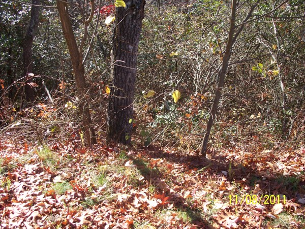 LOT 64 COWEE MOUNTAIN, BRYSON CITY, NC 28713 