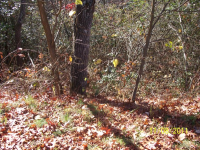 LOT 64 COWEE MOUNTAIN, BRYSON CITY, NC 28713 