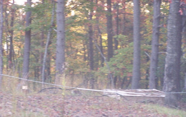 LOT 131 CHESTNUT MTN, MCGRADY, NC 28649 