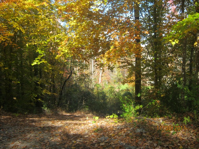 Lot 53 and 54 Stuart, CRAMERTON, NC 28032 