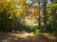 Lot 53 and 54 Stuart, CRAMERTON, NC 28032 