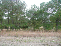 WASHINGTON ACRES ROA, HAMPSTEAD, NC 28443 