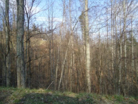 Lot 18 Fontana Trce, Almond, NC 28702 Foreclosure