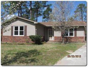 6 Falcon Ct, Castle Hayne, NC 28429 