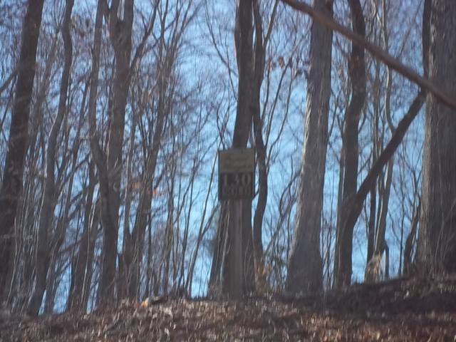 LOT 130 AT FOREST Heights, MARION, NC 28752 