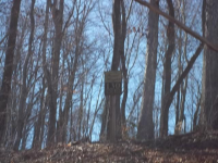 LOT 130 AT FOREST Heights, MARION, NC 28752 