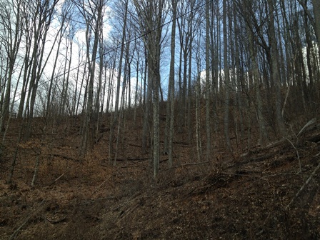 LOT 9 DOUBLEBACK RD, MARS HILL, NC 28754 