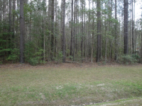 205  AUGUSTA CT, HAVELOCK, NC 28532 