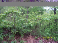 LOT 2 SHOOTING CREEK, HAYESVILLE, NC 28904 
