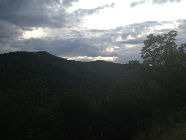 579 BLUE MIST WAY, ARDEN, NC 28704 