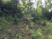 4375 NE US HWY 25-70, MARSHALL, NC 28753 