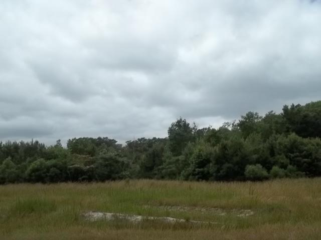 LOT 16 LONG BRANCH C, HERTFORD, NC 27944 