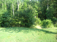 1108  PORTERS POND LN, MATTHEWS, NC 28105 