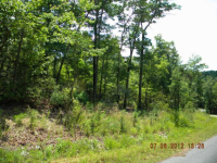 LOT 177 CHESTNUT MTN, MCGRADY, NC 28649 Foreclosure