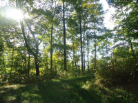 228 Sparkleberry Court, Tuckasegee, NC 28783 