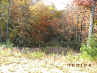 LOT 109 CHESTNUT MTN, MCGRADY, NC 28649 