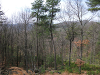 LOT 145 CHESTNUT MTN, MCGRADY, NC 28649 Foreclosure