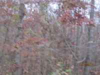 151 Byers Rd, Troutman, NC 28166 