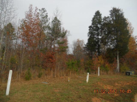 48 Appleblossom Ct, Pittsboro, NC 27312 