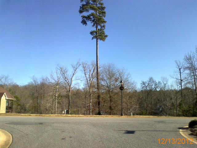 159 E TATTERSALL DR, STATESVILLE, NC 28677 